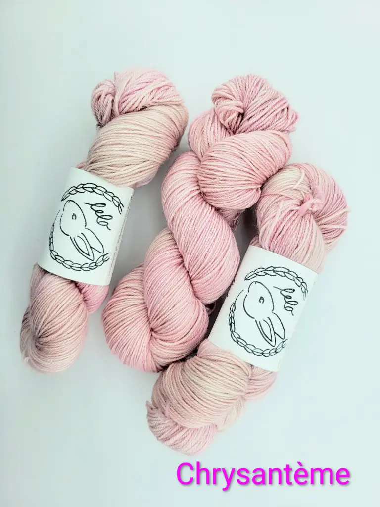 Chrysanthème 6 disponibles