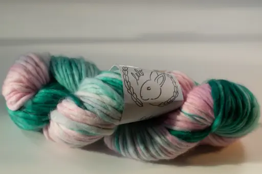 Euphorbia - 2 disponibles